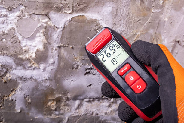 Home Mold Removal in Chevy Chase, MD