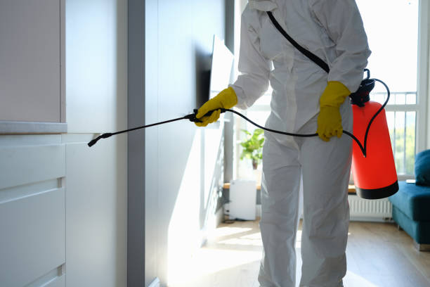 Best Toxic Mold Removal  in Chevy Chase, MD