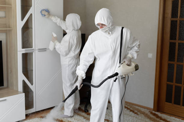 Best Home Mold Removal  in Chevy Chase, MD