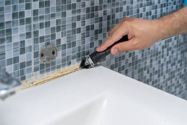 Best Mold Remediation  in Chevy Chase, MD